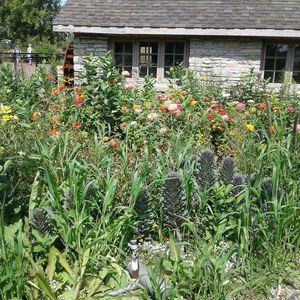 Meet your Posher, Shelly